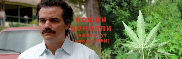 каннабис Арсеньев