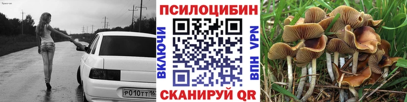 Псилоцибиновые грибы Magic Shrooms  hydra зеркало  Алдан  купить  цена 